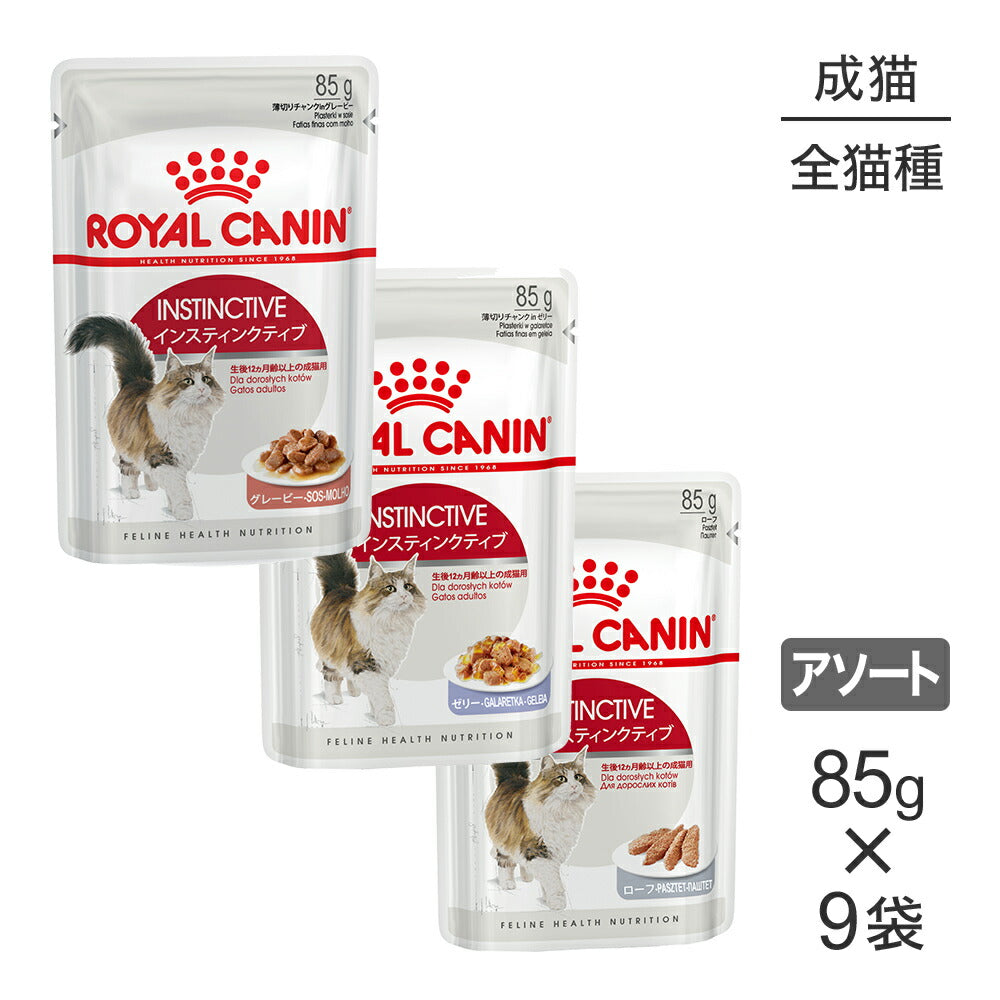 【メール便】【85g×9袋】ロイヤルカナン FHN-WET 健康な成猫のためのウェット お試しセット (1) インスティンクティブ (猫・キャット)[正規品]