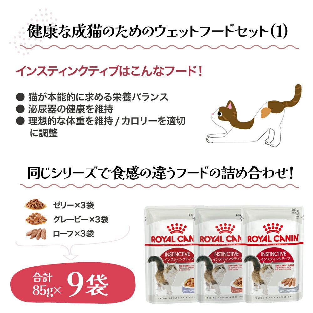 【メール便】【85g×9袋】ロイヤルカナン FHN-WET 健康な成猫のためのウェット お試しセット (1) インスティンクティブ (猫・キャット)[正規品]