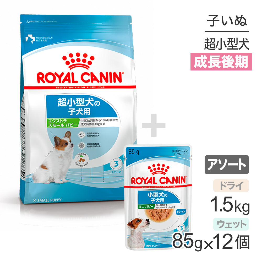 子犬成長後期【はじめてセット】ロイヤルカナン SHN エクストラ スモール パピー1.5kg×1 + ウェット85g×12 (犬・ドッグ)[正規品]