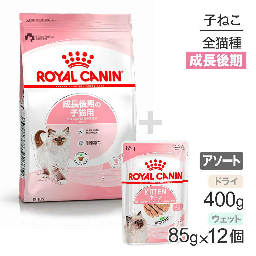 子猫成長後期【はじめてセット】ロイヤルカナン FHN キトン 子猫用 ドライ 400g×1 + ウェット ローフ85g×12 (猫・キャット)[正規品]
