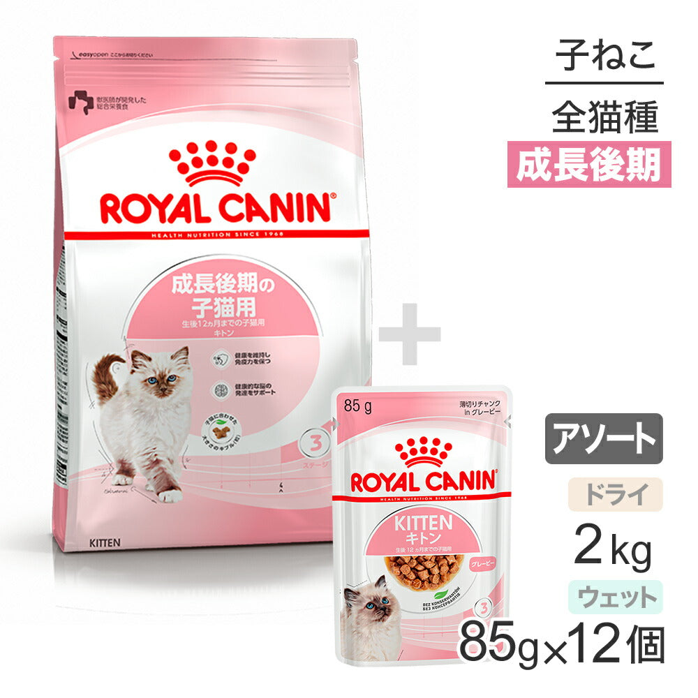 子猫成長後期【はじめてセット】ロイヤルカナン FHN キトン 子猫用 ドライ 2kg×1 + ウェット グレービー85g×12 (猫・キャット)[正規品]