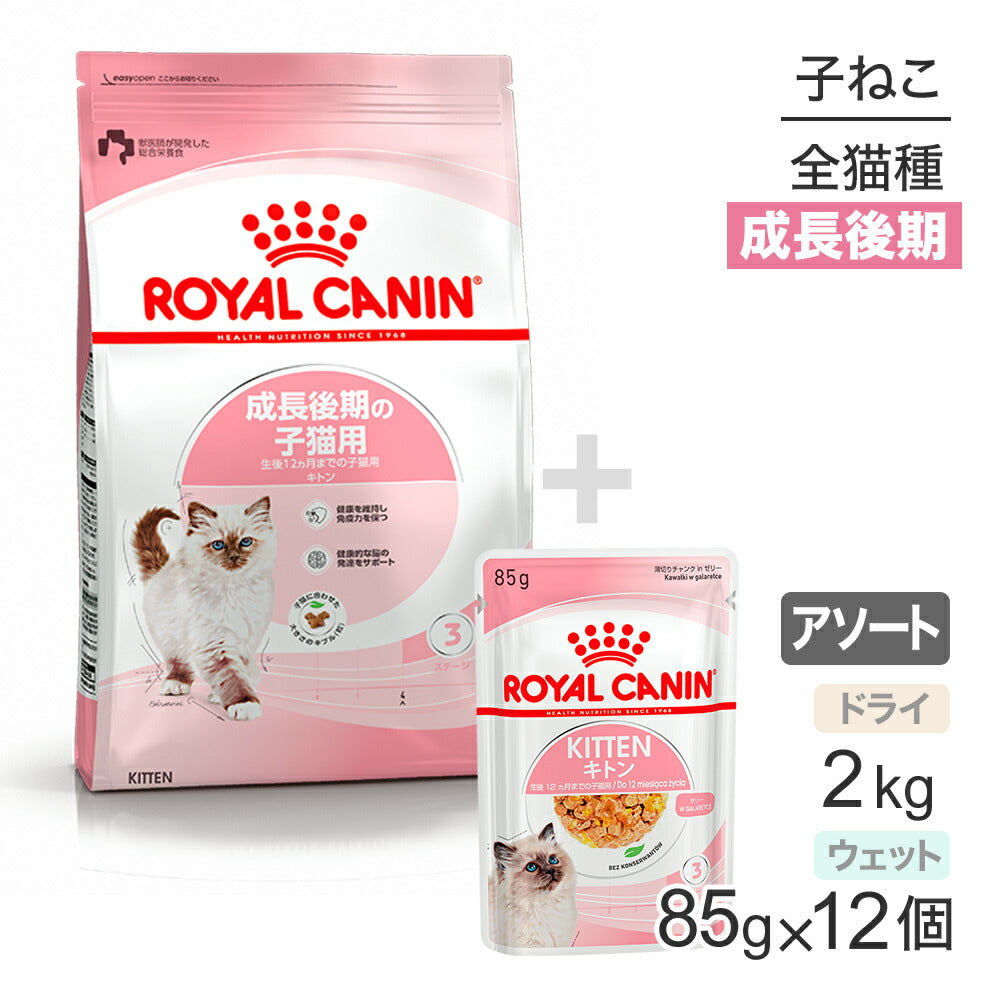 子猫成長後期【はじめてセット】ロイヤルカナン FHN キトン 子猫用 ドライ 2kg×1 + ウェット ゼリー85g×12 (猫・キャット)[正規品]