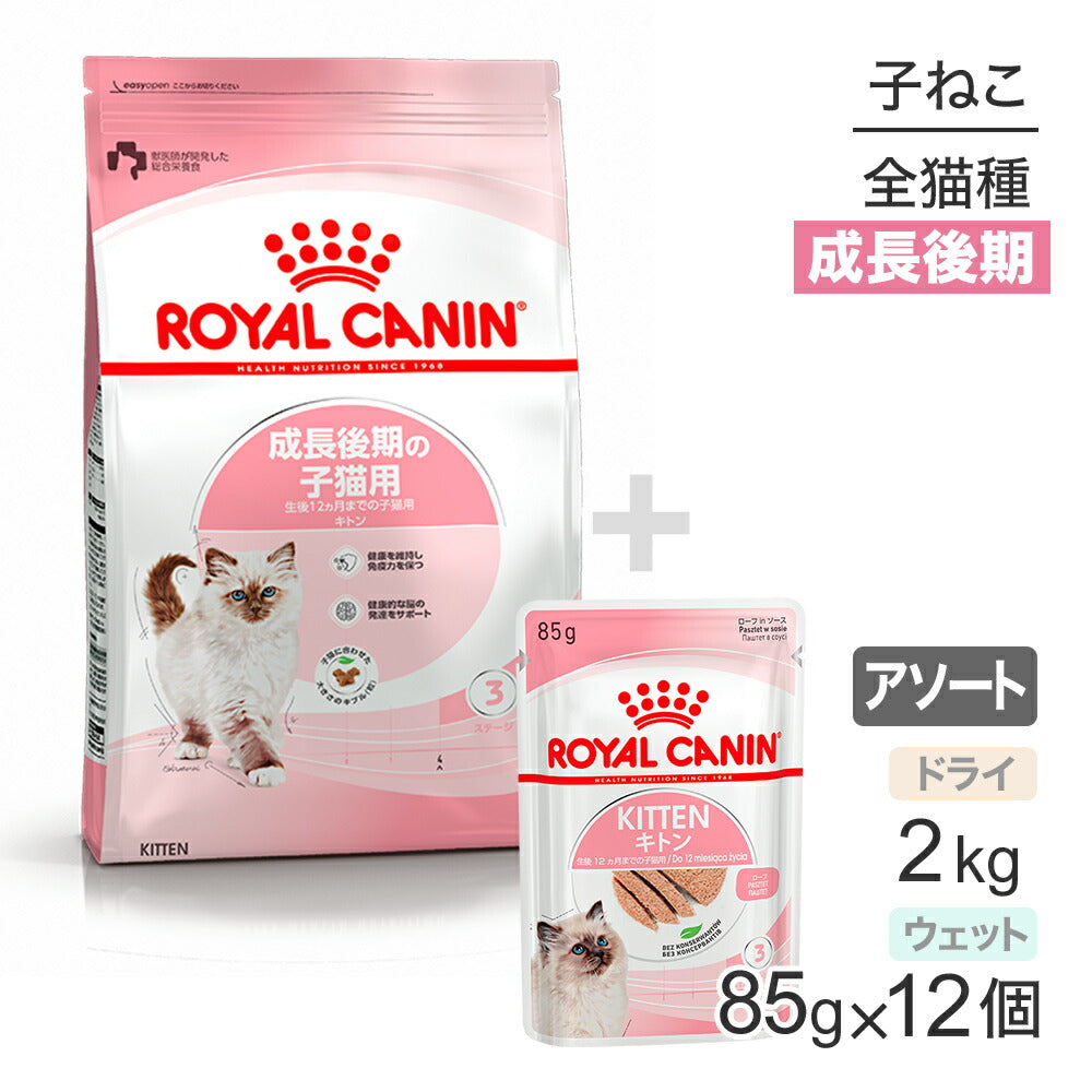 子猫成長後期【はじめてセット】ロイヤルカナン FHN キトン 子猫用 ドライ 2kg×1 + ウェット ローフ85g×12 (猫・キャット)[正規品]