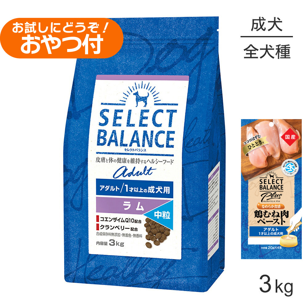 セレクトバランス アダルト ラム 中粒 1才以上の成犬用 3kg+成犬用 鶏むね肉ペースト 20g×4本(犬・ドッグ)