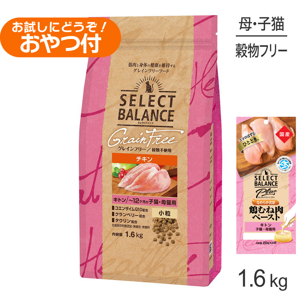 セレクトバランス グレインフリー キトン チキン 1.6kg+子猫・母猫用 鶏むね肉ペースト 20g×4本(猫・キャット)