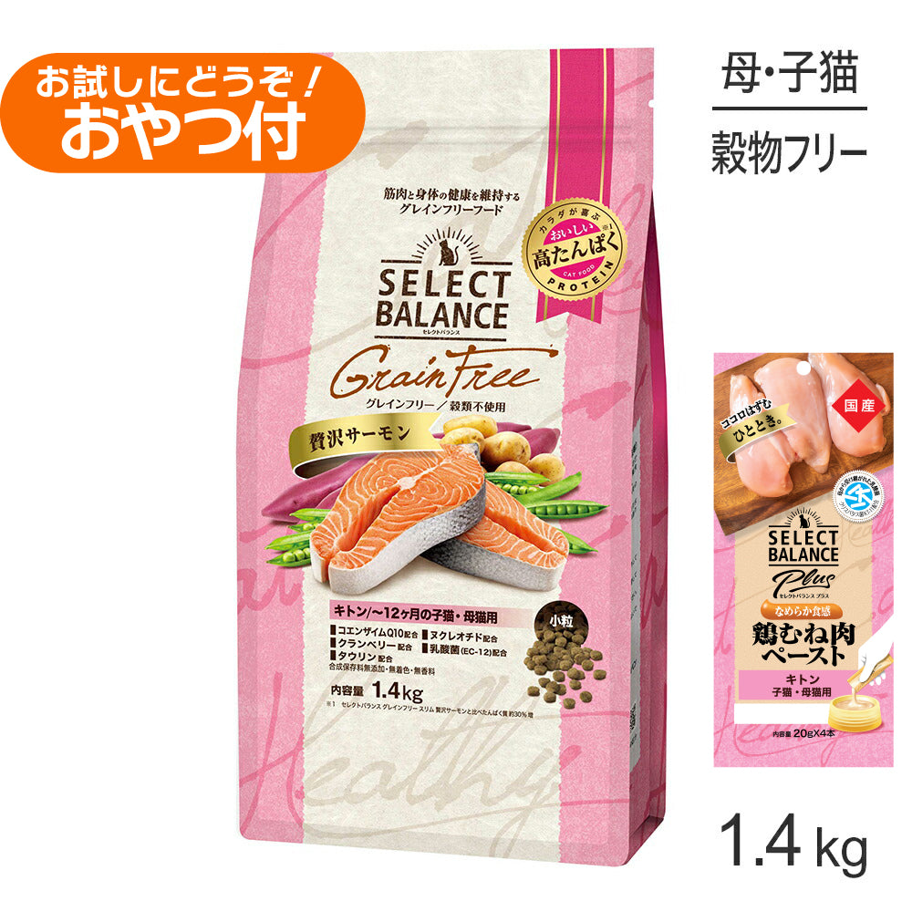 セレクトバランス グレインフリー キトン 贅沢サーモン 小粒 1.4kg+子猫・母猫用 鶏むね肉ペースト 20g×4本(猫・キャット)