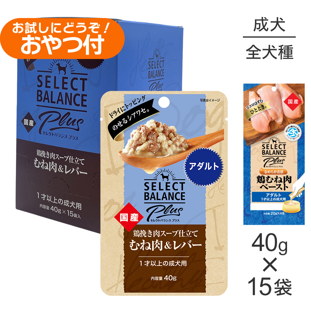 セレクトバランス Plus アダルト 1才以上の成犬用 鶏挽き肉スープ仕立て ウェット 40g×15袋+成犬用 鶏むね肉ペースト 20g×4本(犬・ドッグ)
