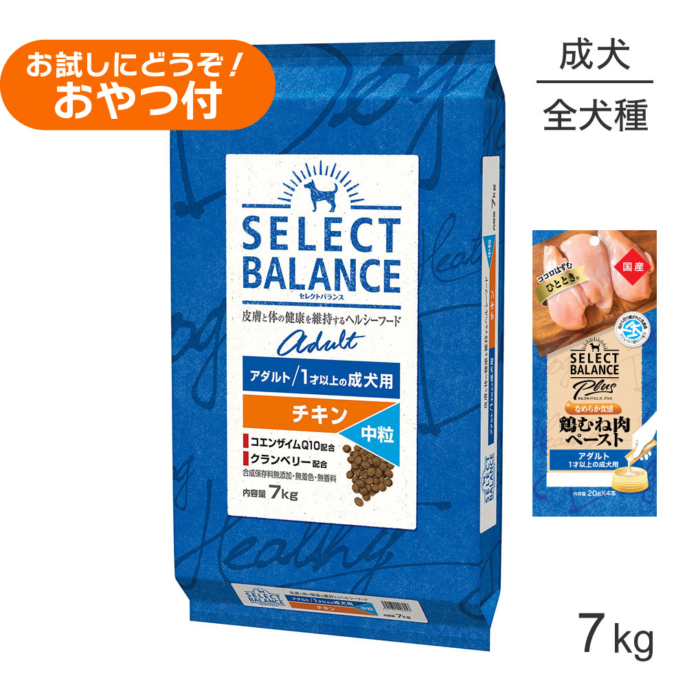 セレクトバランス アダルト チキン 中粒 1才以上の成犬用 7kg+成犬用 鶏むね肉ペースト 20g×4本(犬・ドッグ)