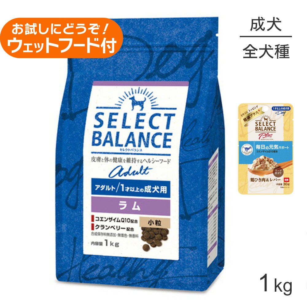 セレクトバランス アダルト ラム 小粒 1才以上の成犬用 1kg+成犬用 鶏ひき肉＆レバー ウェット 30g(犬・ドッグ)