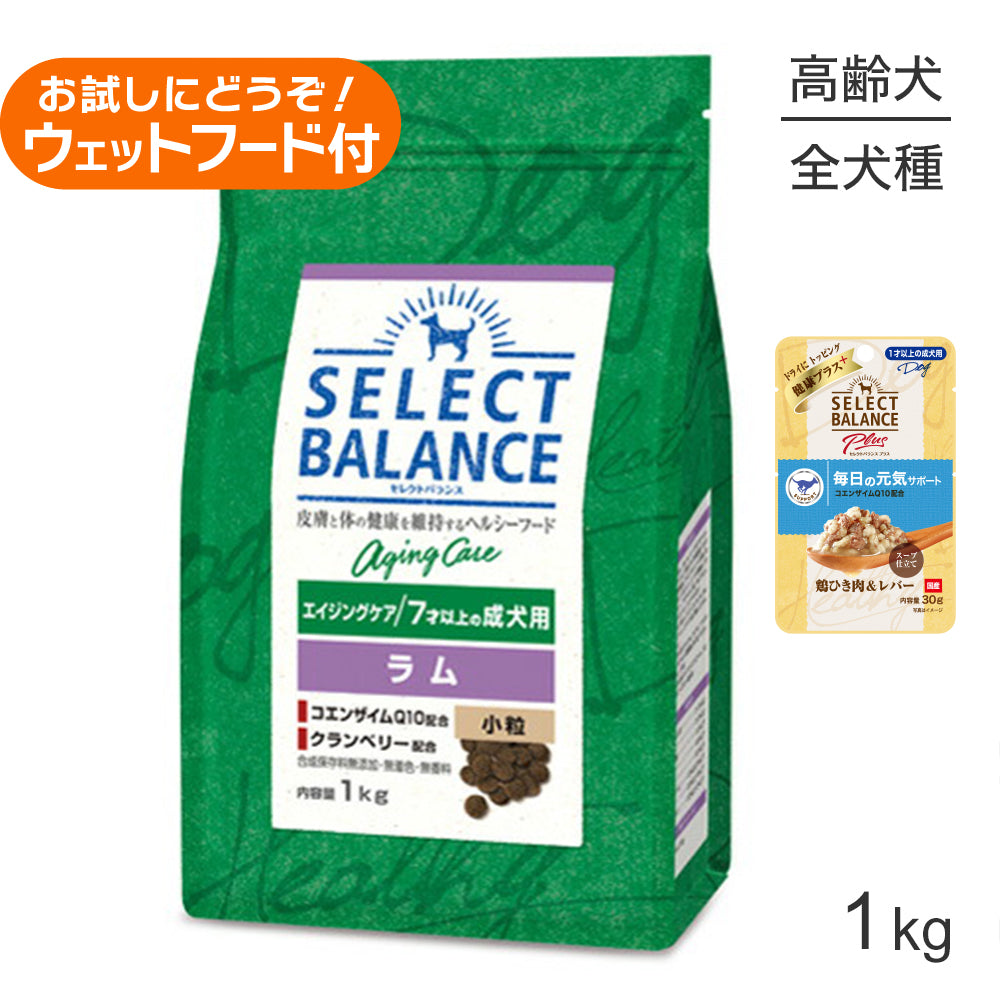 セレクトバランス エイジングケア ラム 小粒 7才以上の成犬用 1kg+成犬用 鶏ひき肉＆レバー ウェット 30g(犬・ドッグ)