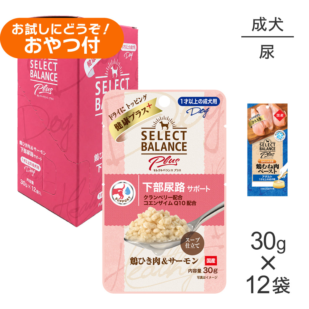 セレクトバランス Plus 下部尿路サポート 1才以上の成犬用 鶏ひき肉&サーモン ウェット 30g×12袋+成犬用 鶏むね肉ペースト 20g×4本(犬・ドッグ)