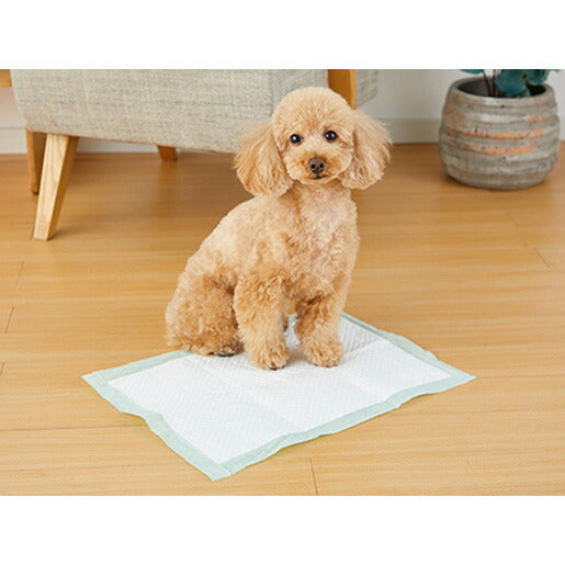 ボンビ しつけるシーツW消臭neo レギュラー 60枚 (犬・ドッグ)