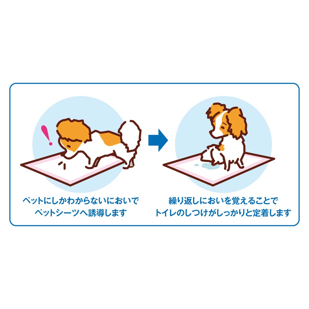 ボンビ しつけるシーツ 幼犬用neo レギュラーサイズ 40枚 (犬・ドッグ)