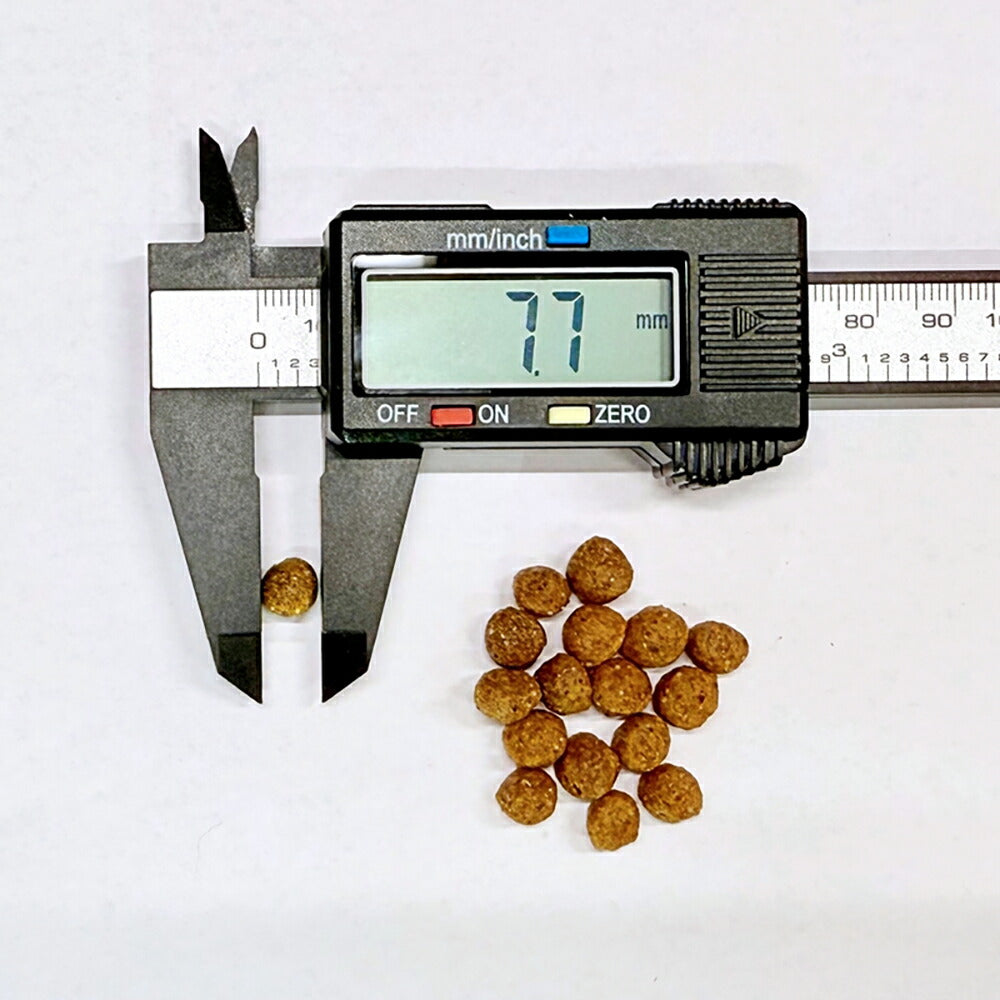 フォルツァ10 Forza10 Daily Pro アダルトミニ ラム 免疫の健康維持・最適な消化 成犬用 小粒 600g (犬・ドッグ)[正規品]