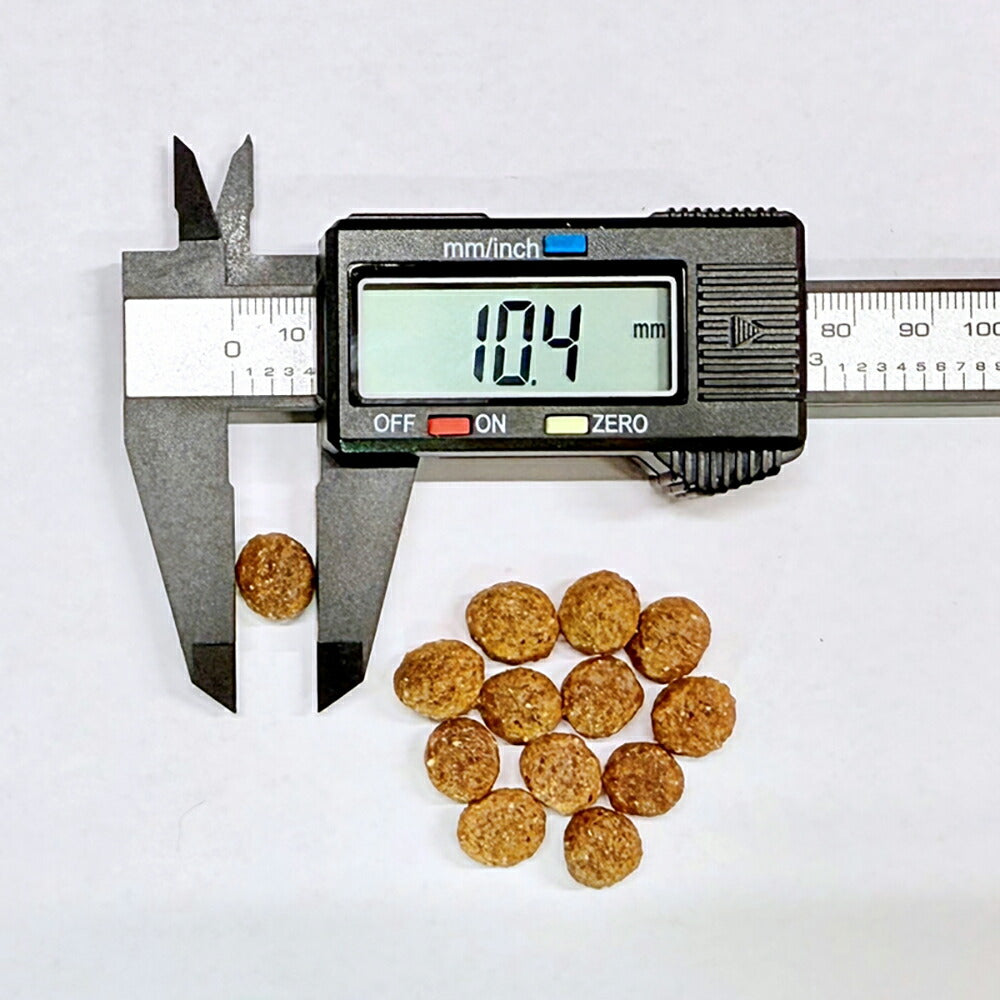 フォルツァ10 Forza10 Daily Pro アダルトミニ ポーク 免疫の健康維持・スキン&コートケア 成犬用 小粒 600g (犬・ドッグ)[正規品]