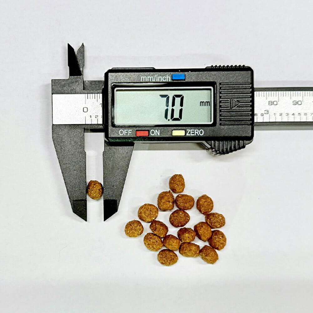 フォルツァ10 Forza10 Daily Pro アダルトミニ ホース 免疫の健康維持・スキン&コートケア 成犬用 小粒 600g (犬・ドッグ)[正規品]