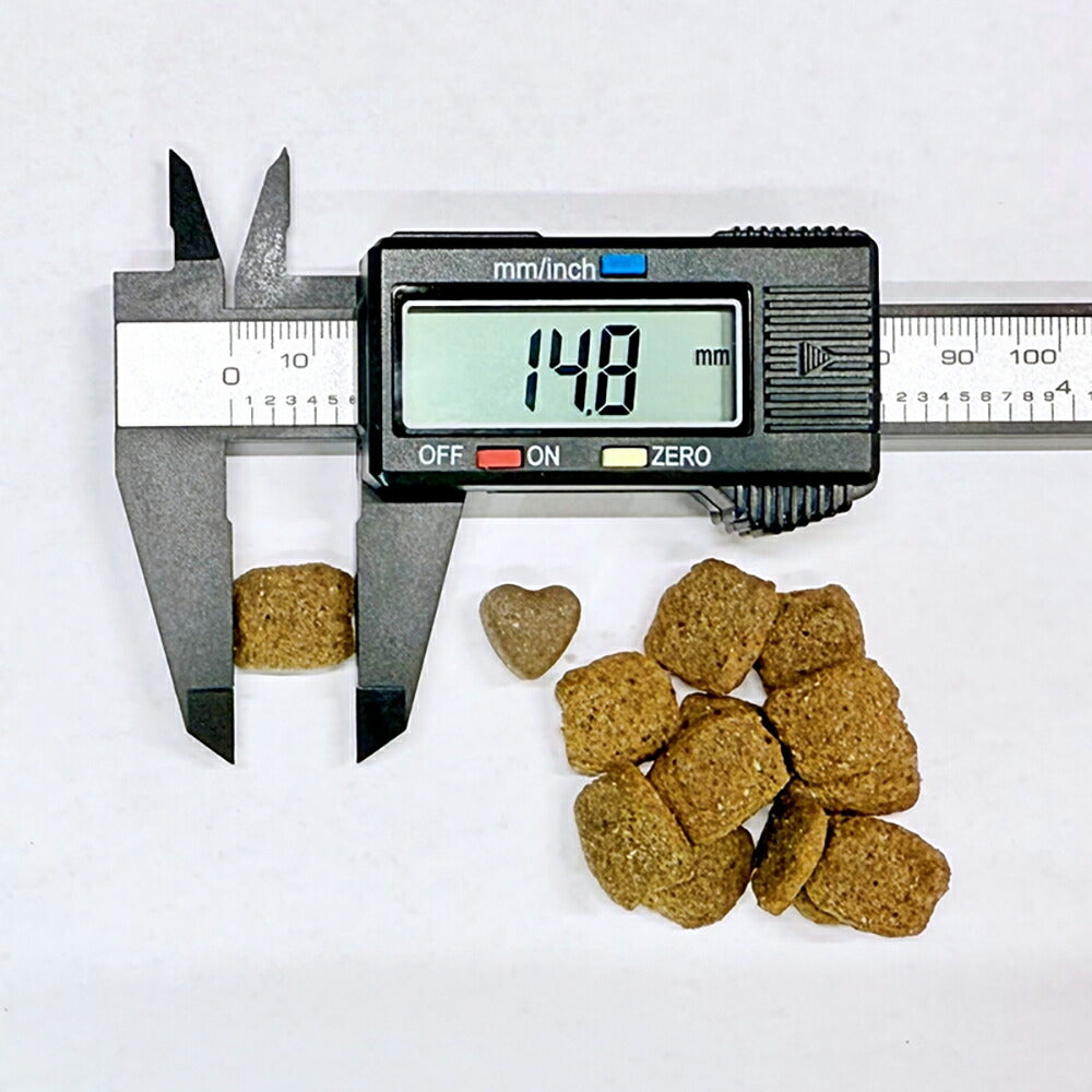 フォルツァ10 Forza10 ACTIVE インテスティナルアクティブ ミディアム 胃腸の健康維持 成犬用 中粒 4kg (犬・ドッグ)[正規品]