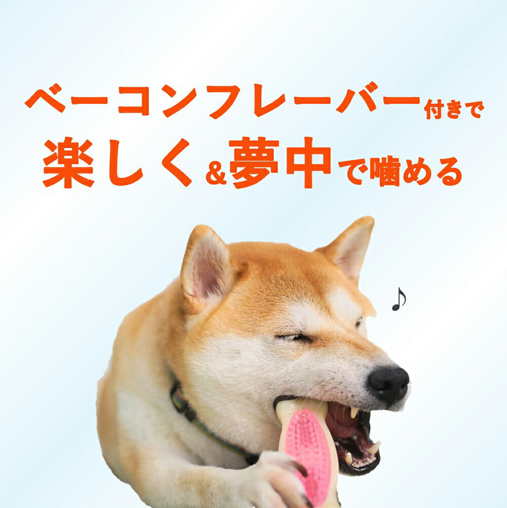 【メール便】ハーツ Hartz チューデント 歯みがきおもちゃ ボーン ソフトタイプ ベーコンフレーバー M (犬・ドッグ)[M便 1/3]