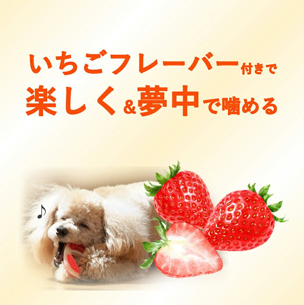 【メール便】ハーツ Hartz チューデント 歯みがきおもちゃ ティーザー いちごフレーバー S~M (犬・ドッグ)[M便 1/3]