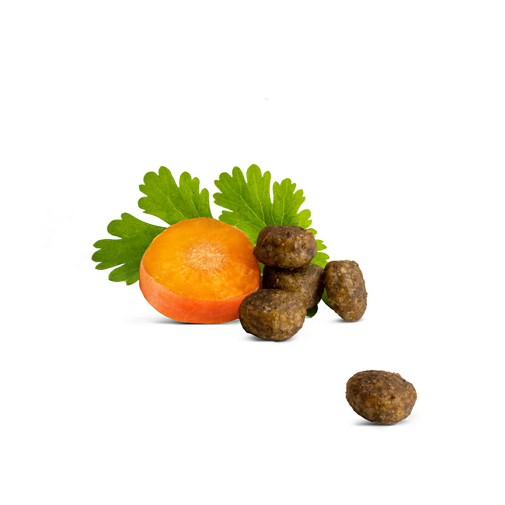 HAPPY CAT ヤング ジュニア ファームポルトリー 子猫用 4kg (猫・キャット) [正規品]