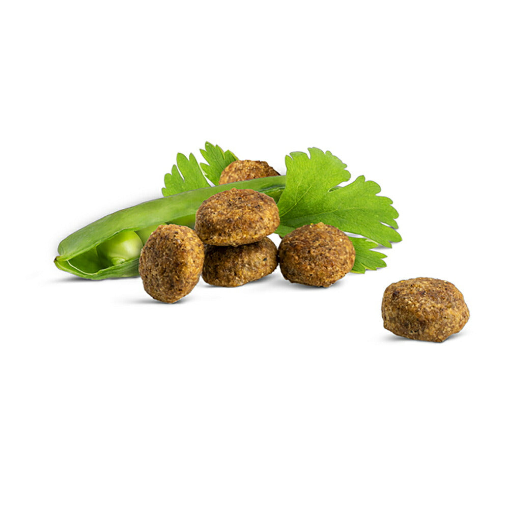 【メール便】HAPPY CAT カリナリー ファームラム 消化器ケア 成猫用 50g (猫・キャット) [正規品][M便 1/10]