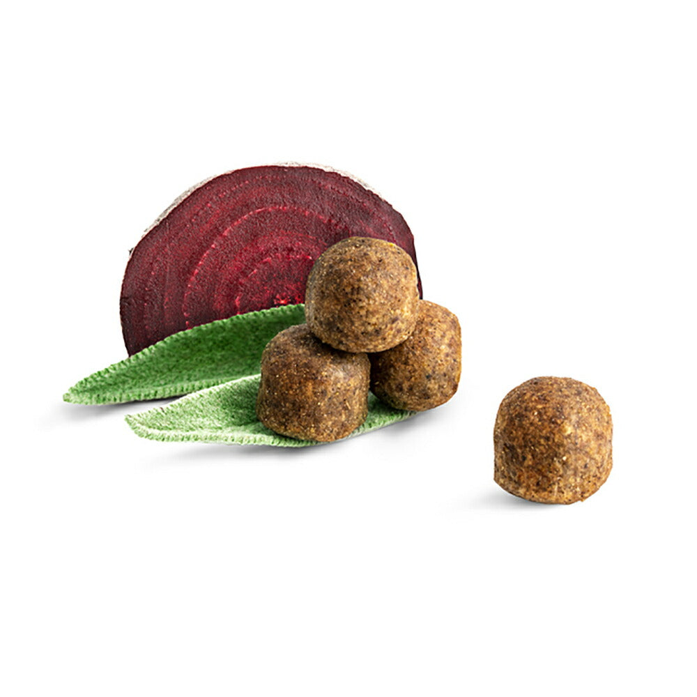 HAPPY CAT カリナリー バイエルンビーフ デンタルケア 大粒 成猫用 300g (猫・キャット) [正規品]