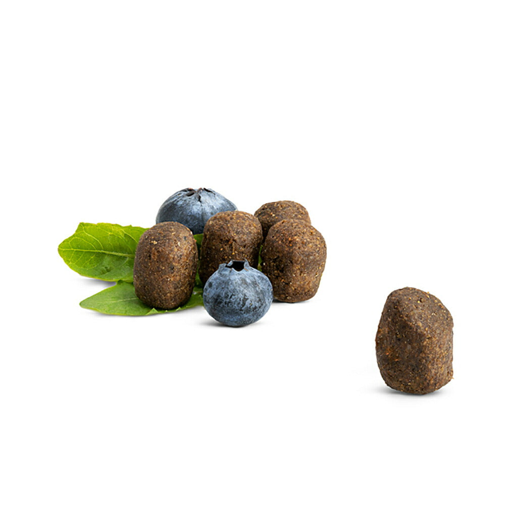 HAPPY CAT カリナリー ファームポルトリー デンタルケア 特大粒 成猫用 300g (猫・キャット) [正規品]