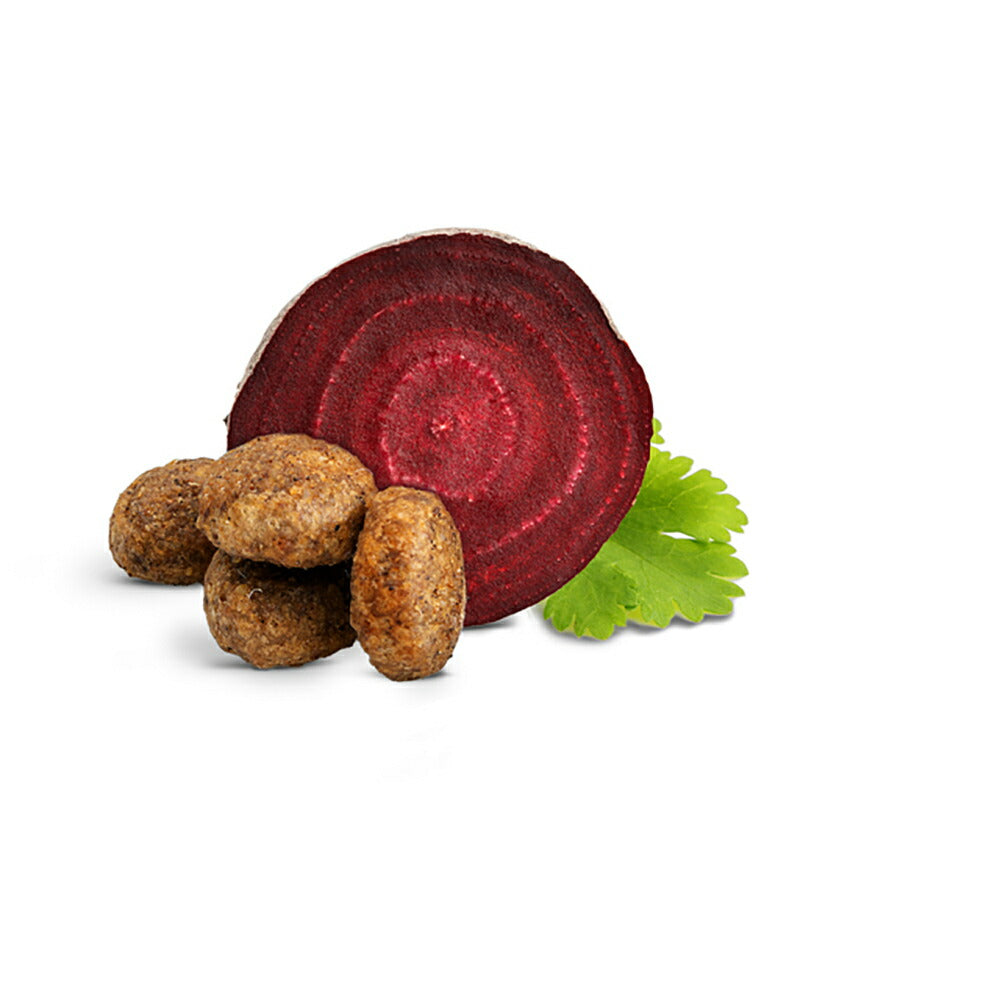 【メール便】HAPPY CAT シニア アトランティックサーモン 高齢猫用 50g (猫・キャット) [正規品][M便 1/10]