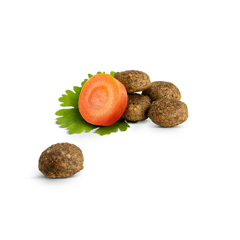 HAPPY CAT シニア ファームラム 高齢猫用 300g (猫・キャット) [正規品]