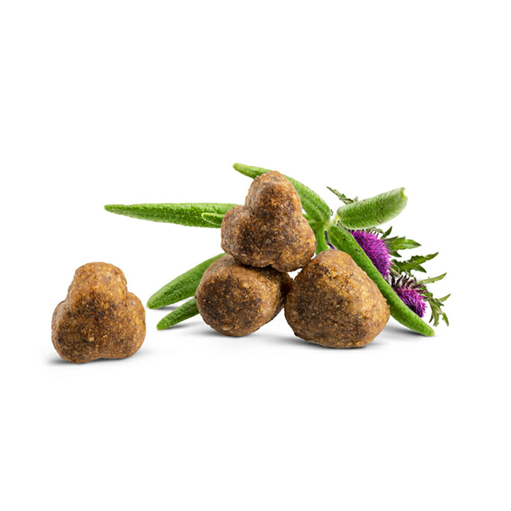 HAPPY CAT ケア ライト ウェイトケア 成猫～シニア猫用 1.3kg (猫・キャット)[正規品]