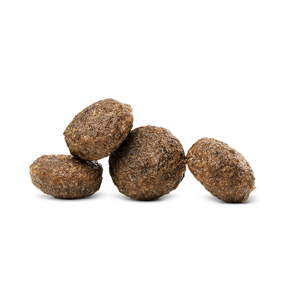 【メール便】HAPPY CAT VET リーナル 腎臓ケア 成猫～シニア猫 療法食 50g (猫・キャット)[正規品][M便 1/10]