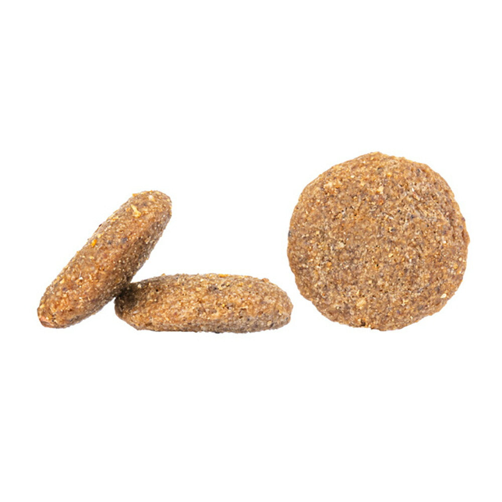 HAPPY DOG センシブル トスカーナ ウェイトケア 中・大型犬 成犬～シニア犬用 1kg (犬・ドッグ)[正規品]