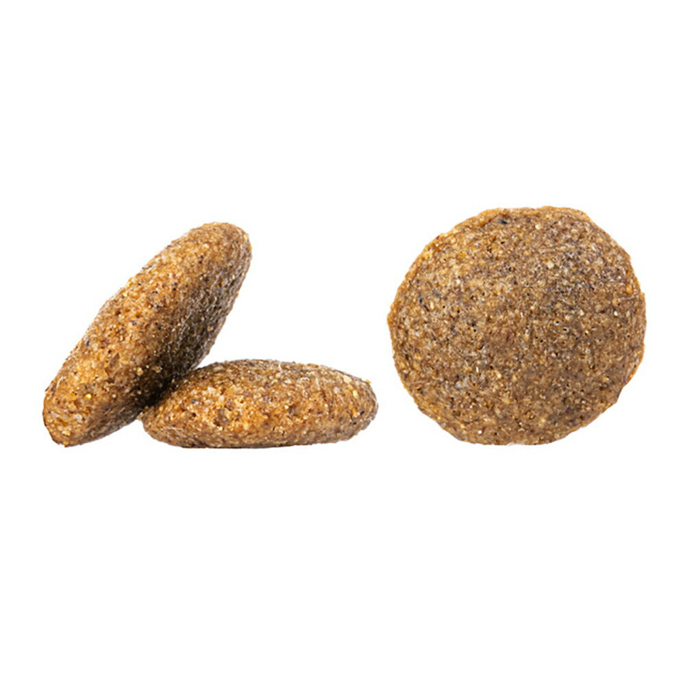 HAPPY DOG センシブル ニュージーランド 消化器ケア 中・大型犬 成犬～シニア犬用 12.5kg (犬・ドッグ)[正規品]