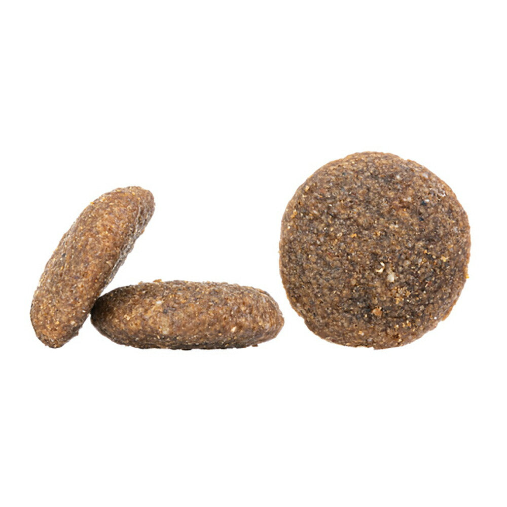 HAPPY DOG センシブル インディア ベジタリアン 中・大型犬 成犬～シニア犬用 300g (犬・ドッグ)[正規品]