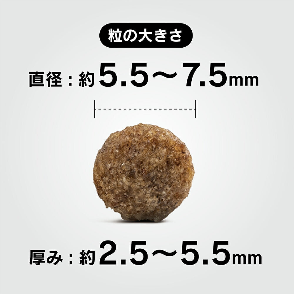 HAPPY DOG ミニ フィット＆バイタル ミニ パピー 小型犬 子犬用 800g (犬・ドッグ)[正規品]