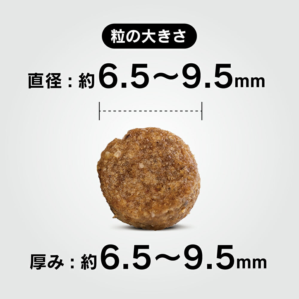 HAPPY DOG ミニ フィット＆バイタル ミニ アダルト 小型犬 成犬用 4kg (犬・ドッグ)[正規品]