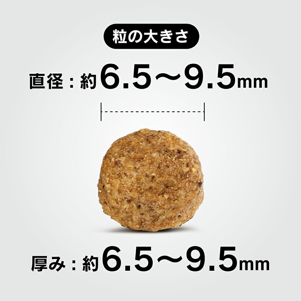 HAPPY DOG ミニ フィット＆バイタル ミニ ライト 低脂肪 小型犬 成犬用 4kg (犬・ドッグ)[正規品]