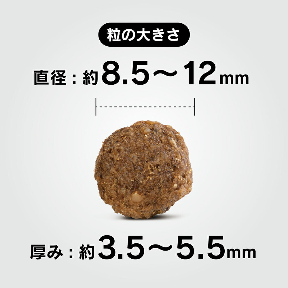 HAPPY DOG ミニ センシブル ミニ アイルランド スキンケア 小型犬 成犬～シニア犬用 4kg (犬・ドッグ)[正規品]