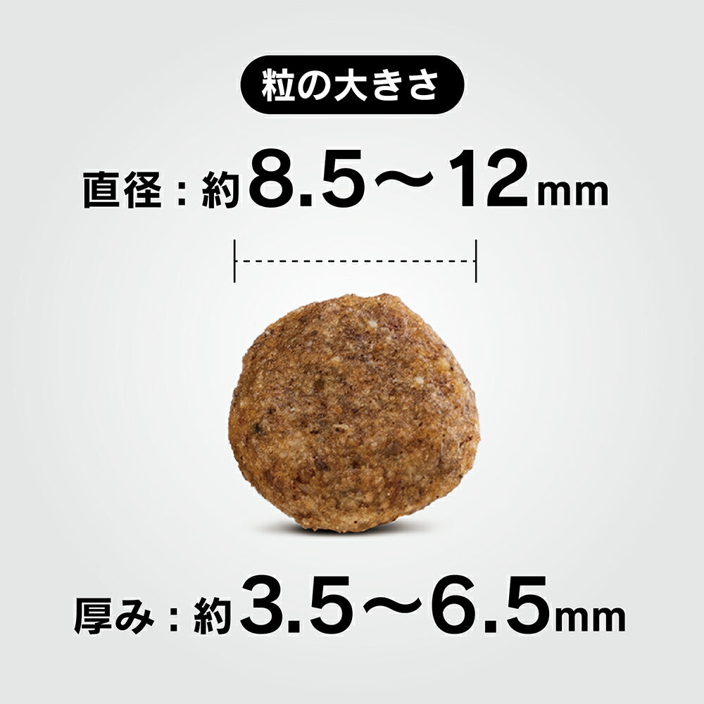 HAPPY DOG ミニ センシブル ミニ ニュージーランド 消化器ケア 小型犬 成犬～シニア犬用 800g (犬・ドッグ)[正規品]