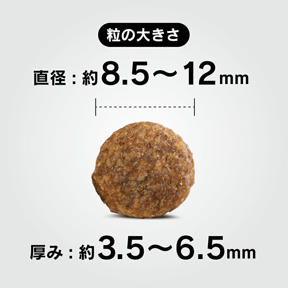 HAPPY DOG ミニ センシブル ミニ フランス アレルギーケア 小型犬 成犬～シニア犬用 4kg (犬・ドッグ)[正規品]