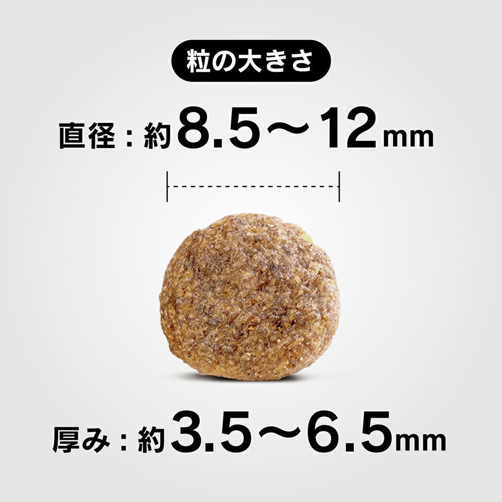 HAPPY DOG ミニ センシブル ミニ インディア ベジタリアン 小型犬 成犬～シニア犬用 800g (犬・ドッグ)[正規品]