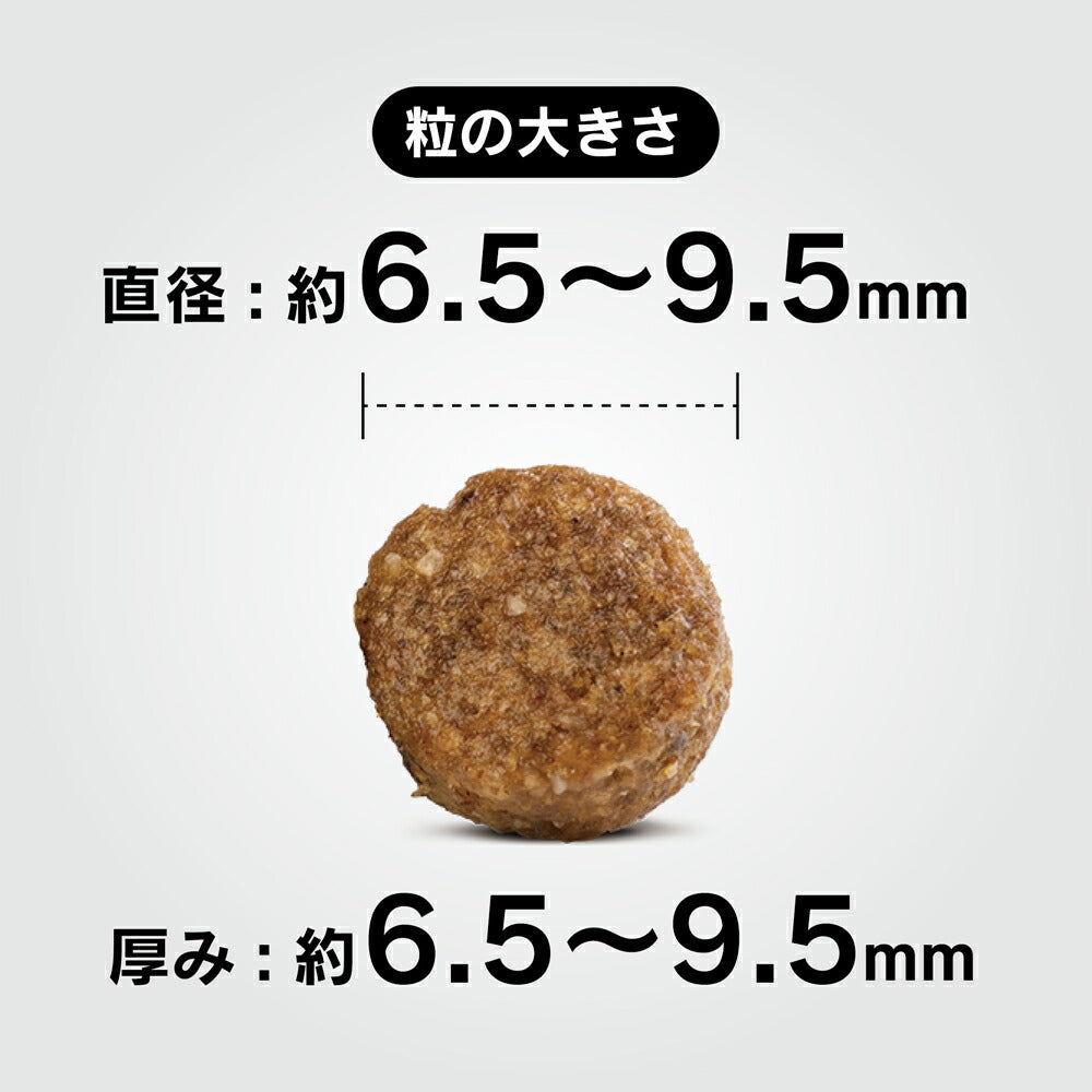 HAPPY DOG ミニ フィット＆バイタル ミニ アダルト 小型犬 成犬用 10kg (犬・ドッグ)[正規品]