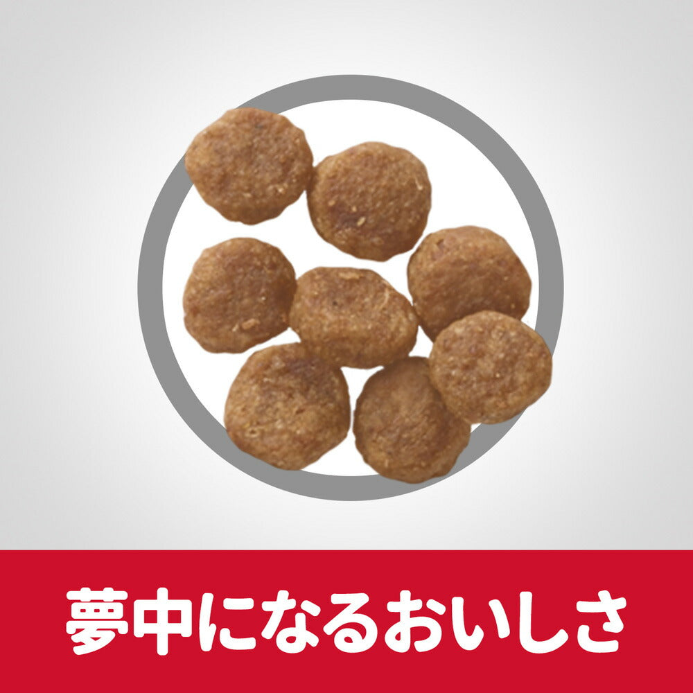 ヒルズ サイエンス・ダイエット 小型犬用 アダルト 1~6歳 成犬用 ラム＆ライス 1.5kg (犬・ドッグ)