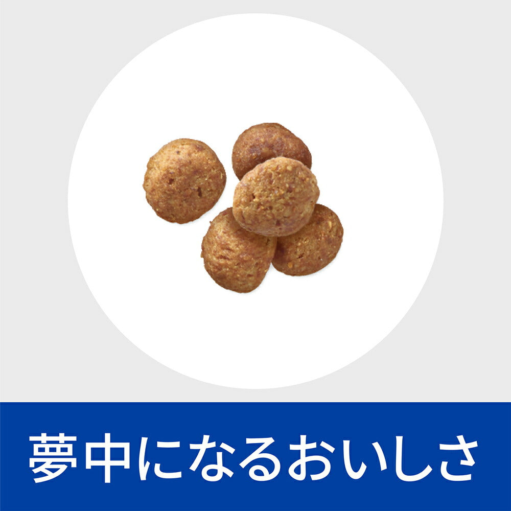 ヒルズ 腸内バイオーム 繊維＆消化ケア 小粒 療法食 3kg (犬・ドッグ)