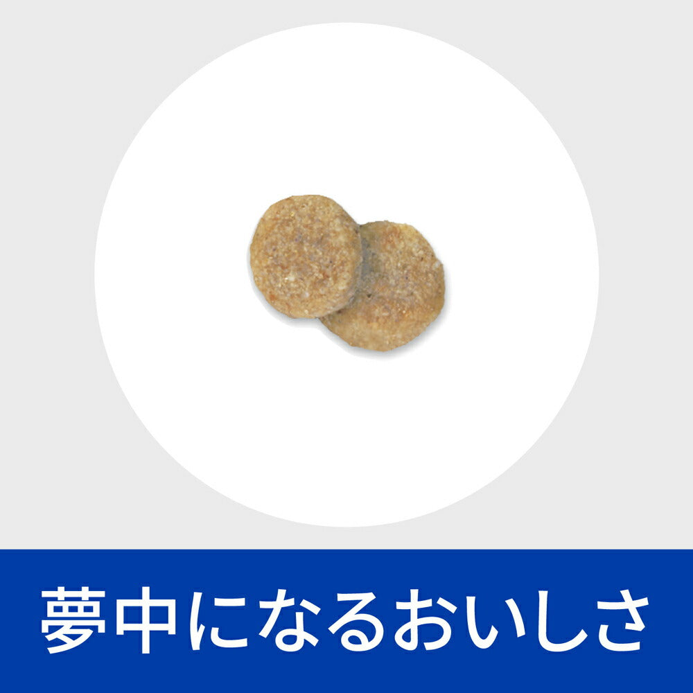 ヒルズ k/d 腎臓ケア 療法食 1kg (犬・ドッグ)[正規品]