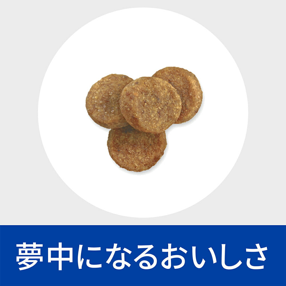ヒルズ ダームディフェンス 皮膚ケア 療法食 1kg (犬・ドッグ)[正規品]