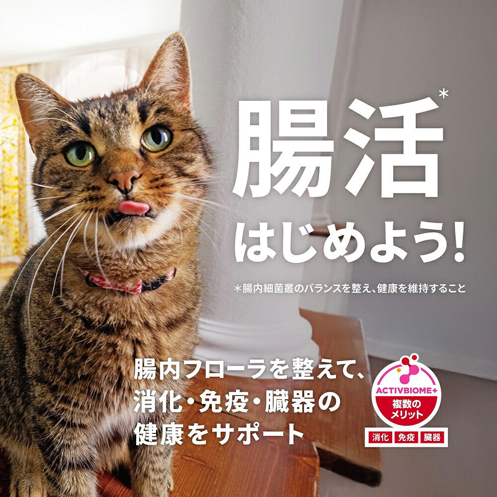 【2.8kg×4袋】ヒルズ サイエンス・ダイエット シニア 7歳以上 高齢猫用 チキン 保存容器おまけ付 (猫・キャット)