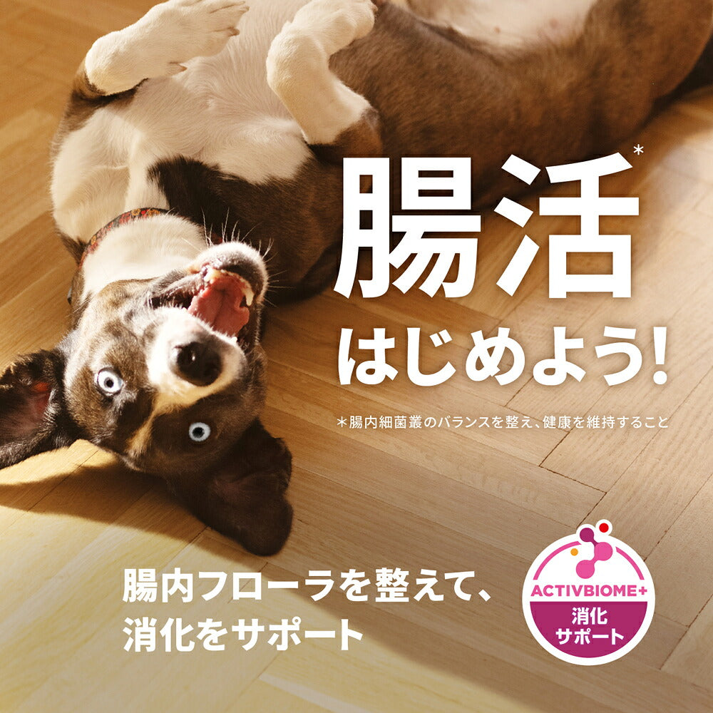 ヒルズ サイエンス・ダイエット パピー 小粒 12ヶ月まで 子犬用/妊娠・授乳期の母犬にも チキン 1.4kg (犬・ドッグ)