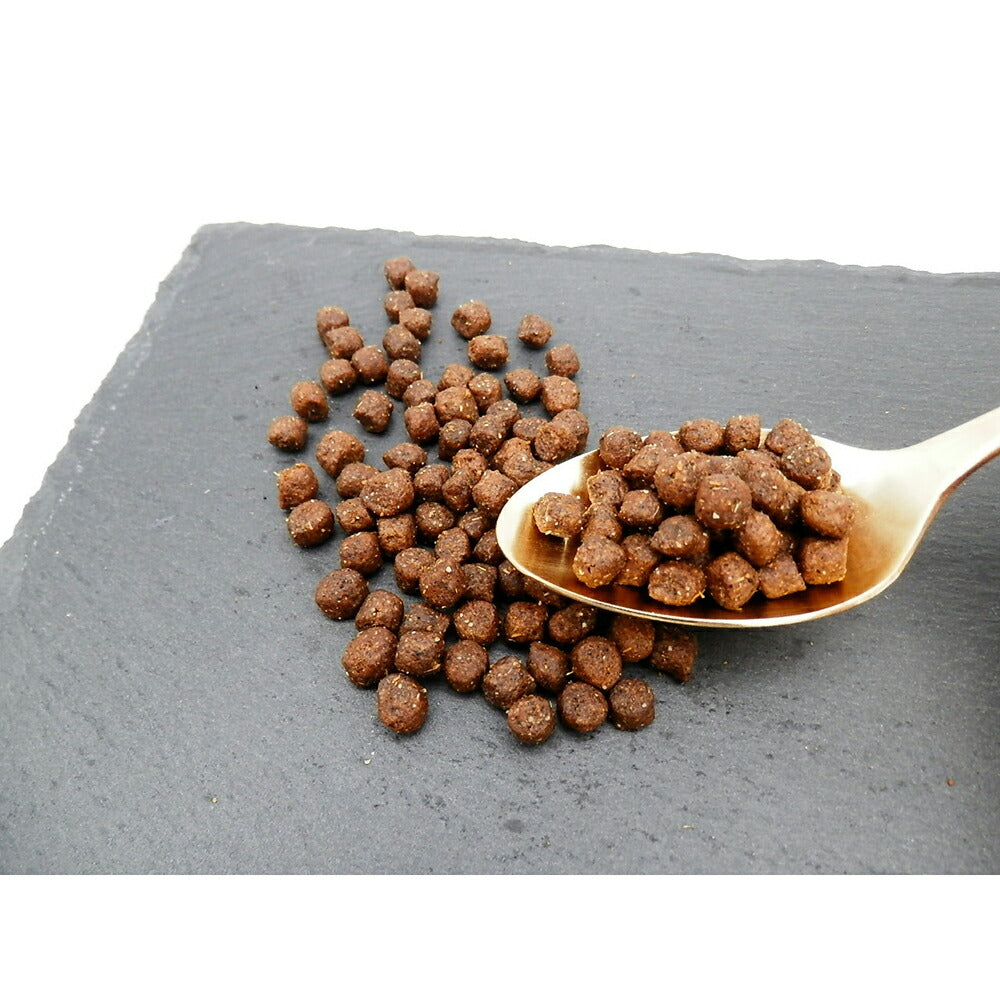 ホリスティックレセピー 仔犬・活動犬・妊娠・授乳犬 ラム＆ライス 小粒 2.4kg (犬・ドッグ) HolisticRECIPE