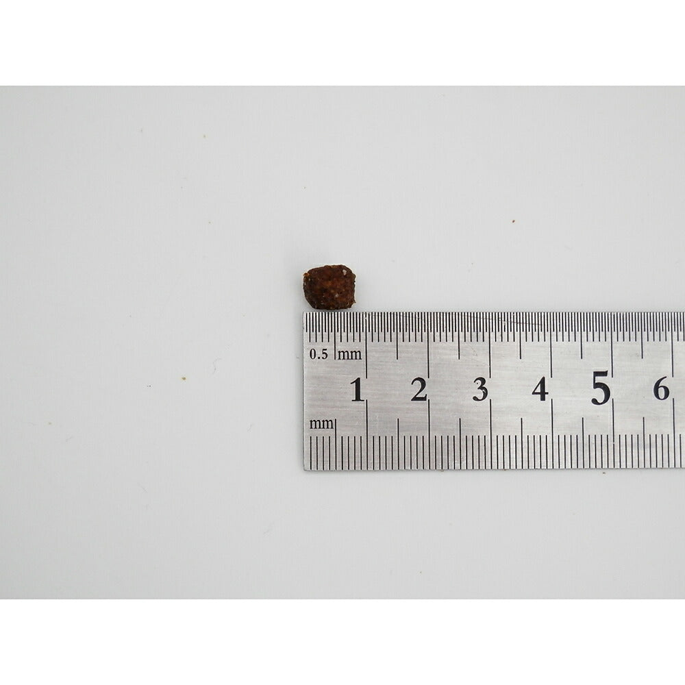 ホリスティックレセピー 仔犬・活動犬・妊娠・授乳犬 ラム＆ライス 小粒 18.1kg (犬・ドッグ) HolisticRECIPE